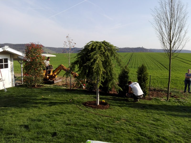 Team Weller - Pflanzung