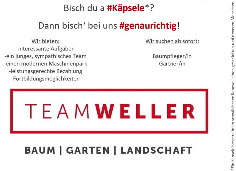 Team Weller - Stellenangebote Bild
