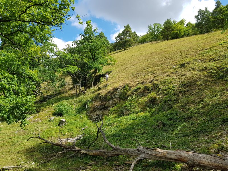 Team Weller - Landschaft - Landschaftspflege